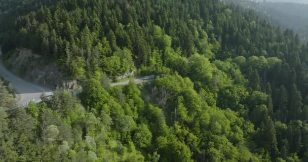 Auto Zaparkované Horském Průsmyku Zeleným Lesem Jeho Svazích Anténa — Stock video