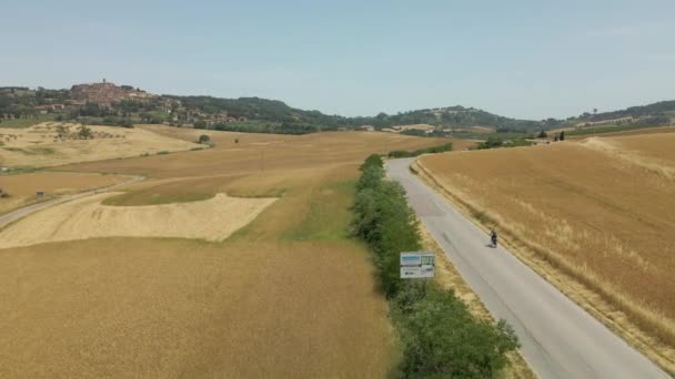 イタリアのトスカーナの航空写真は夏を栽培した — ストック動画