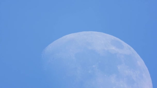 Big Moon Waxing Gibbous Phase Lentement Lever Dans Ciel Bleu — Video