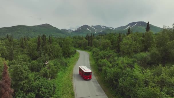 Trolley Famoso Ônibus Vermelho Isolado Asfalto Forest Road Perto Downtown — Vídeo de Stock