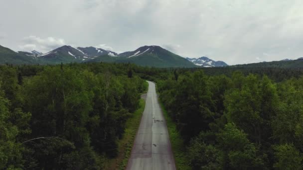 アラスカ州アンカレッジの鬱蒼とした森の中の空の道 空中後退 — ストック動画