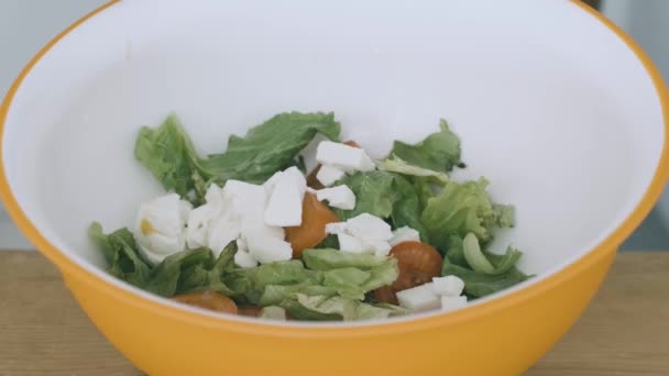 Trozos Queso Mozzarella Italiano Caen Una Cama Ensalada Zanahorias Tomates — Vídeo de stock