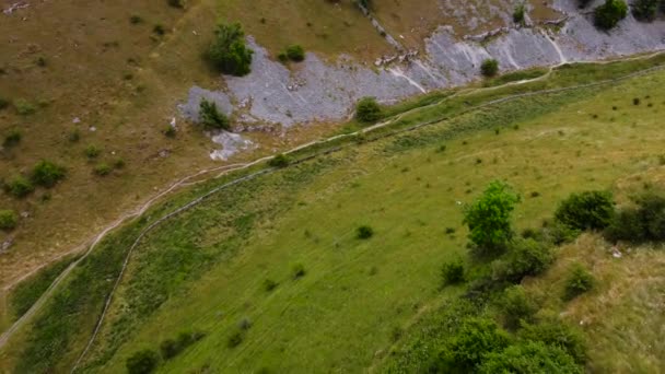 Widok Lotu Ptaka Nad Tętniącą Życiem Doliną Trawiastą Górskiej Wsi — Wideo stockowe