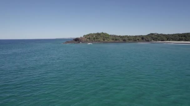 在澳大利亚新南威尔士州靠近指头的塔斯曼海游泳的一桶松软海豚 空中后撤 — 图库视频影像