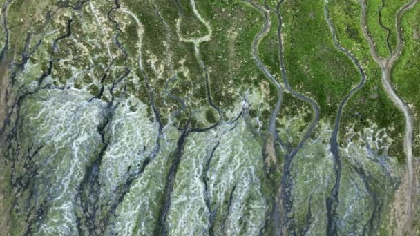 Top View River Delta Tidal Marshes Oostvoorne Netherlands — Stock Video