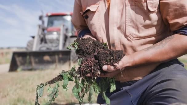 Agricultor Sosteniendo Tierra Compost Con Residuos Alimentos Vegetales Gusanos Wiggler — Vídeos de Stock