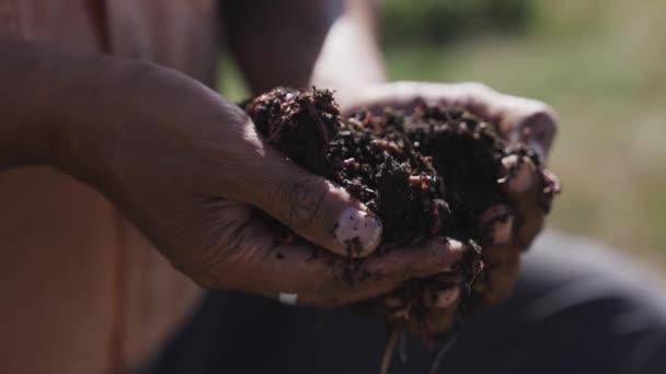 农民手握蚯蚓地面土 — 图库视频影像