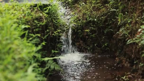 울퉁불퉁 지형에서 흐르는 물줄기의 지멘스 닫습니다 — 비디오