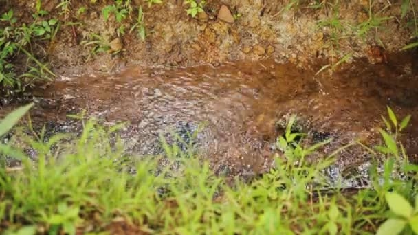 Primer Plano Gimbal Pequeño Chorro Agua Naturaleza Alto Ángulo — Vídeo de stock