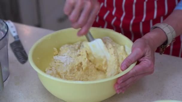 Chef Femenino Mezclando Halusky Bryndza Tazón Receta Halusky Bryndzove Plato — Vídeo de stock