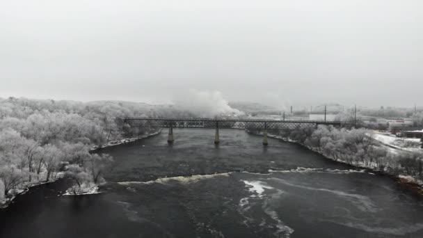 冬には川の橋と霜に覆われた木 — ストック動画