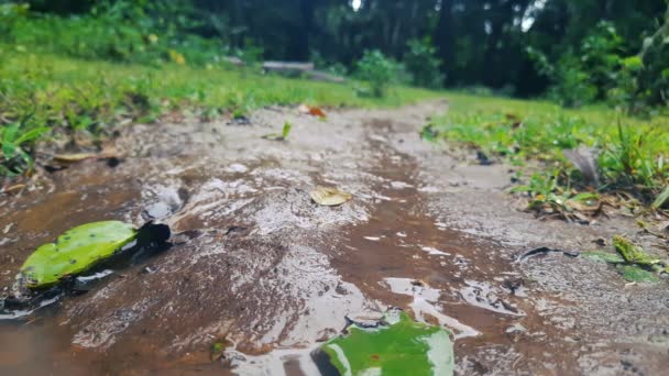 Niedrige Statische Aufnahme Von Aufgeweichten Böden Nach Starkem Regen Oberflächlicher — Stockvideo