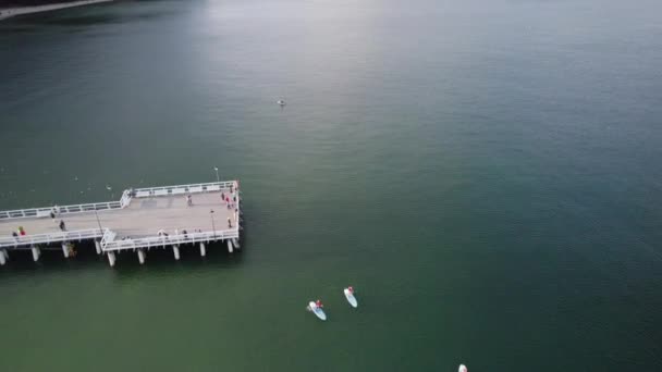 Voo Aéreo Tourist Passarela Sup Paddler Mar Báltico Gdynia Orlowo — Vídeo de Stock