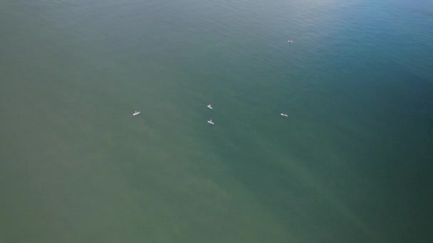 Yazın Polonya Baltık Denizi Nde Sörf Yapan Bir Grup Sup — Stok video