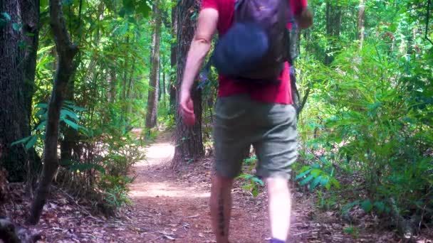 バージニアの森を歩く巾着袋のバックパックを持つ1人の若い男の裏側の景色 — ストック動画
