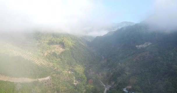 Toma Area Montaas Selva Peruana Entre Las Nubes — стоковое видео