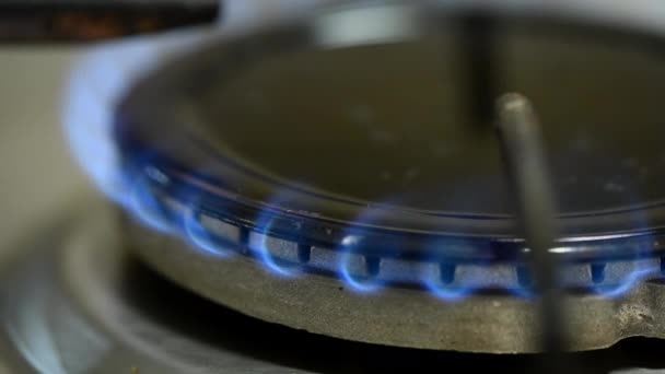 Close Stove Gas Burner Burning Blue Flame — Stock Video