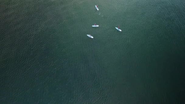 Fritids Vattenanvändare Ridning Standup Paddleboards Sups Njuta Den Vackra Östersjön — Stockvideo