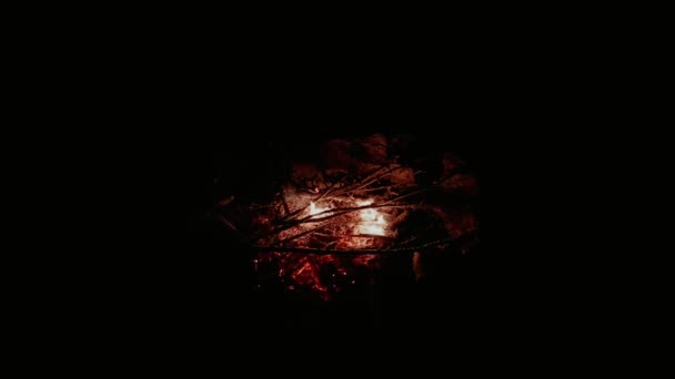 Wood Campfire Embers Burning Low Light Shot — Stock Video