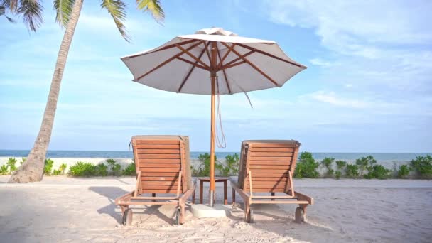 Pair Empty Beach Loungers Shade Umbrella Point Out Ocean View — Stock Video