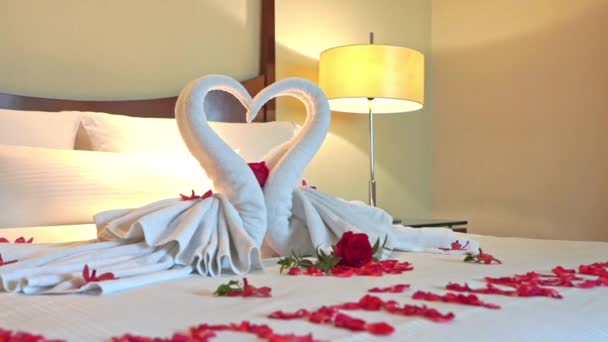 Pan Linen Sculpture Swans Forming Heart Bed Covered Red Roses — Stock Video