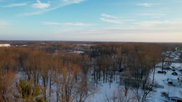 Uma Vista Aérea Campo Enorme Com Árvores Nuas Junco Uma — Vídeo de Stock