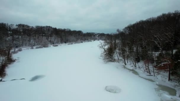 森と岩場に囲まれた凍る小川の静的なショット — ストック動画