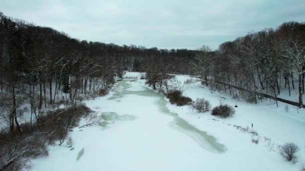 Drohnenblick Auf Gefrorenen Bach Winter Umgeben Von Wald — Stockvideo