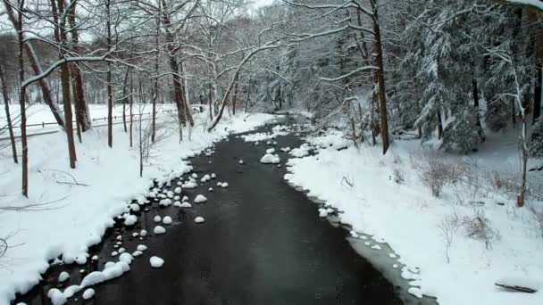 Statyczny Widok Zimowej Rzeki Krajobrazie Lasu Śnieżnego Zimą Zamarznięta Woda — Wideo stockowe