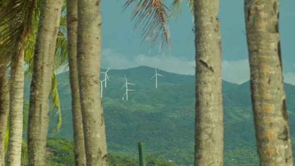 View Windmills Nabas Boracay Philippines — Stock Video