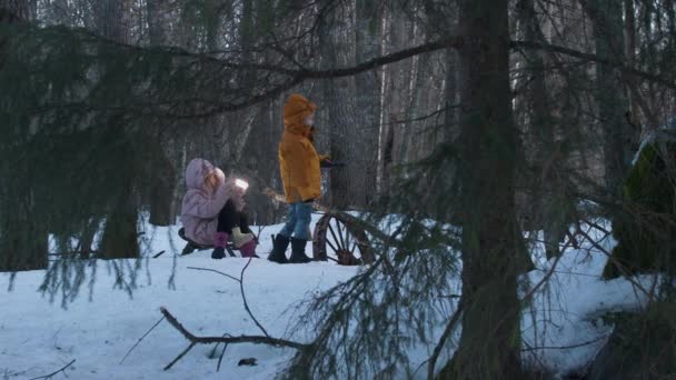 Två Barn Med Ficklampa Brännare Förlorade Snöig Skog Natten Pan — Stockvideo