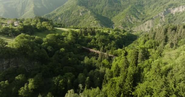ジョージア州のTsemiへのTsagveriを結ぶキャニオンの鬱蒼とした森の上のエッフェル橋の空中ビュー アプローチ — ストック動画