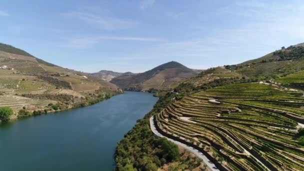 Prachtig Landschap Van Douro Valley — Stockvideo
