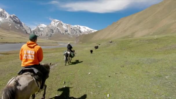 Неймовірний Прекрасний Кінь Їде Киргизстані Неймовірні Краєвиди Гірські Альпійські Озера — стокове відео