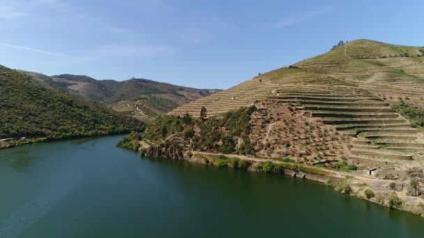 Flying Terraced Hillside Vineyard Douro Valley Portugal Aerial — Stockvideo