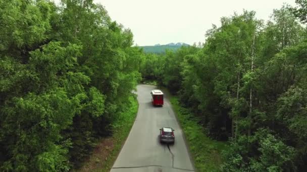 Транспортные Средства Проезжающие Узкой Дороге Между Густым Зеленым Лесом Замедленная — стоковое видео