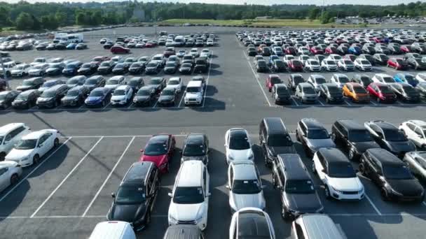 Manheim Auto Auction Місцем Оптових Продажів Автомобілів Дилерів Паркування Повно — стокове відео