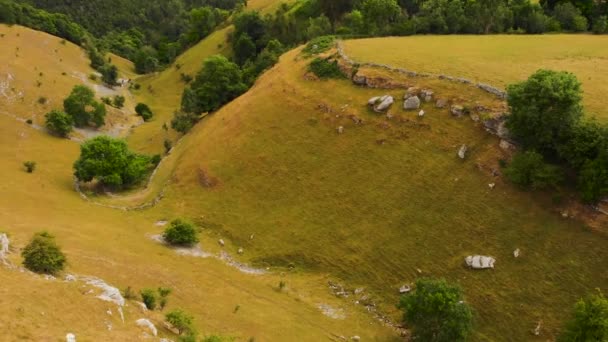 緑豊かな圧延英国の黄色のピーク地区のハイキング渓谷の田舎の風景全体の空中ビュー — ストック動画