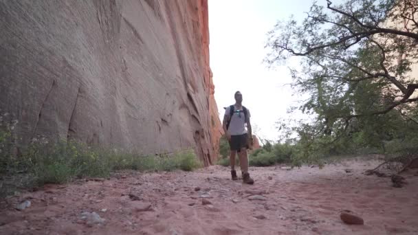 Man Woman Hiking Large Mountains Zion National Park — Stock Video