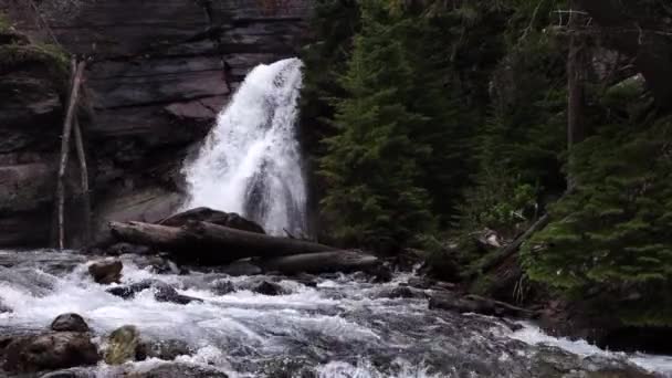 Waterfall Creek Rapids Mary Falls Glacier National Park Montana Eua — Vídeo de Stock