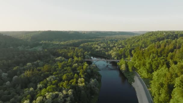 Una Vista Aérea Una Soleada Tarde Verano Río Gauja Fluye — Vídeo de stock