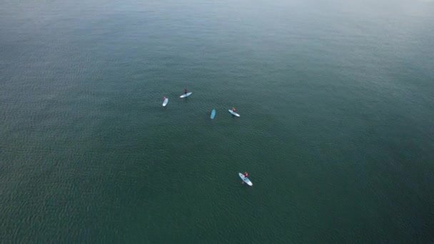 Stand Paddle Boarding Aerial Top View Summer Water Sport Groep — Stockvideo