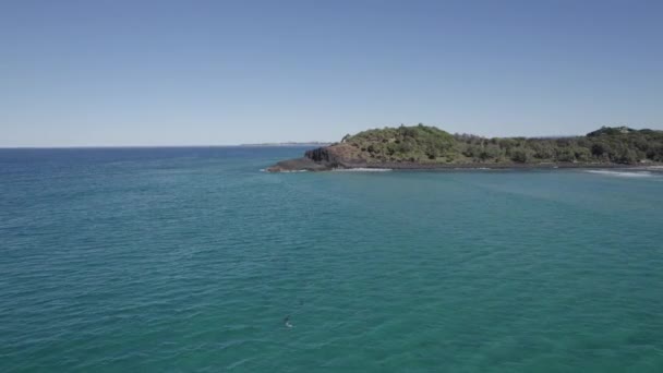 Panorama Der Tasmanischen See Fingal Headland Sommer Nsw Australien Antenne — Stockvideo