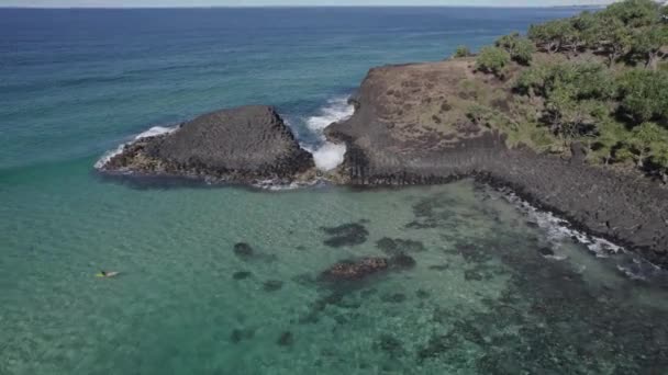 Fingal Head Causeway Headland Surfers Floating Sea Aerea — Video Stock