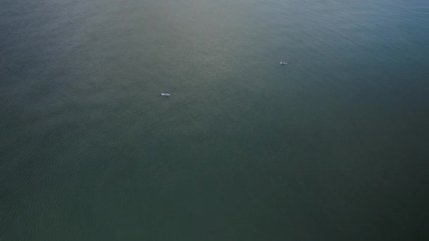 Paddleboarders探索波特兰 波罗的海海岸Gdynia的巨大水景 高角镜头 — 图库视频影像