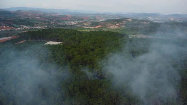 Aerial Panoramic View Smoke Pine Tree Forest Daylight Slow Motion — Stock Video