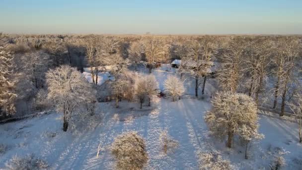 Uitzicht Vanuit Lucht Een Besneeuwd Landschap Met Prachtige Huizen Een — Stockvideo