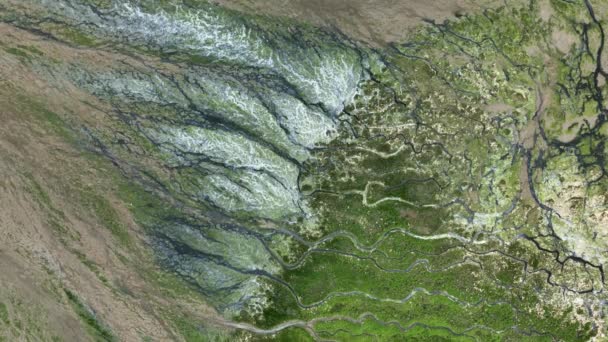 Modelli Unici Canali Del Delta Del Fiume Habitat Delle Zone — Video Stock