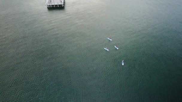 GdyniaのOrowoの桟橋近くの静かなバルト海でのスタンドアップパドルボーディングアクティビティ ドローン高角度 — ストック動画