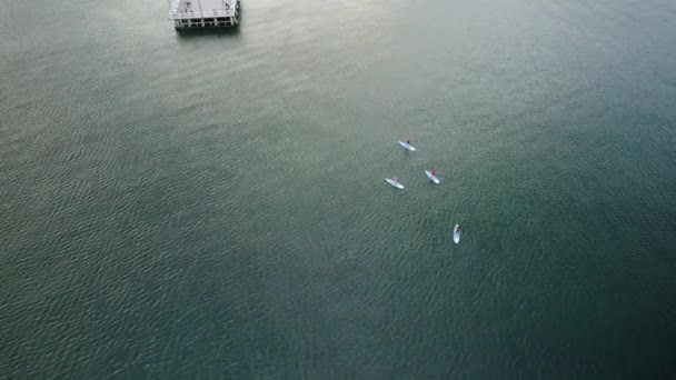 Standup Paddleboarding Activity Tranquil Baltic Sea Pier Orowo Gdynia Drone — Stock Video